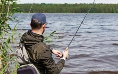 6 Topwater Fishing Tips for Summer Bass: Tactics to Learn and Master