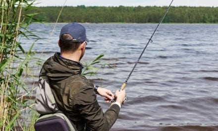 6 Topwater Fishing Tips for Summer Bass: Tactics to Learn and Master