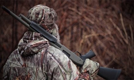 8 Most Versatile Hunting Shotguns