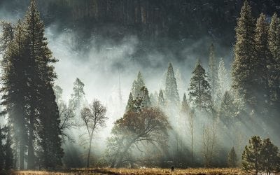 Atmospherics Assignment Winner Siu Lau