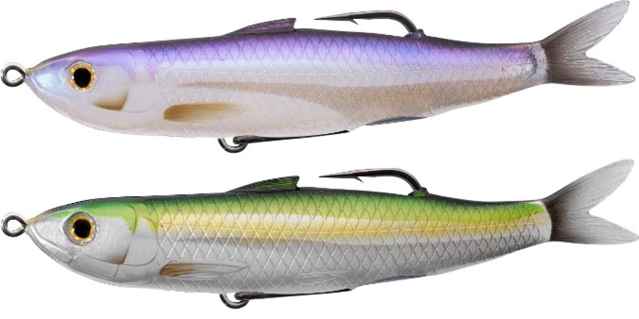 Bio-Inspired Topwater Shines