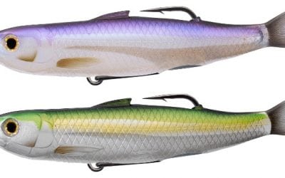 Bio-Inspired Topwater Shines