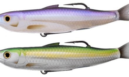 Bio-Inspired Topwater Shines