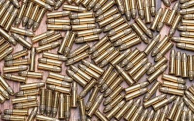 Feed Your .22 With These 7 Great Ammo Buys