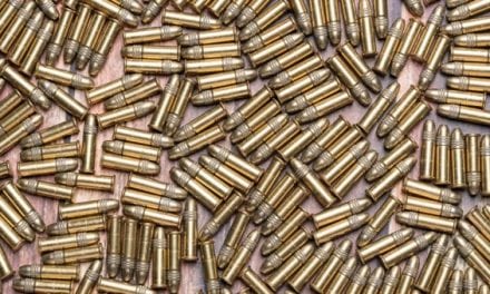Feed Your .22 With These 7 Great Ammo Buys