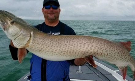 Giant Musky is Lake St. Clair All-Time Release Record