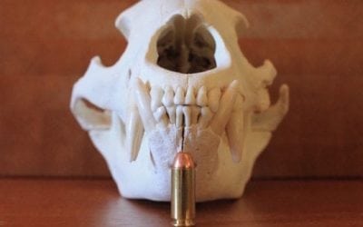 Here’s the Best 10mm Auto Ammo for Self-Defense