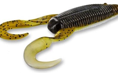 Hot Summer Days with the YamaFrog