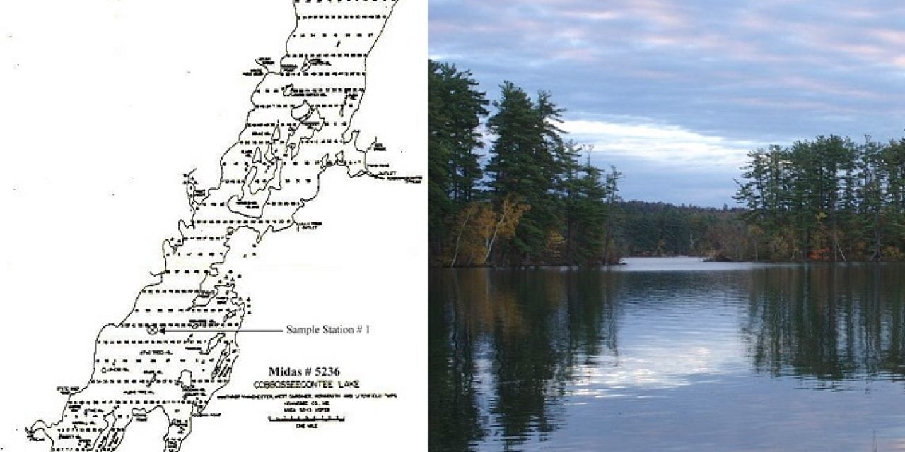 Invasive Milfoil Confirmed in Cobbosseecontee Lake