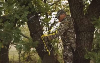 Is the Mathews Triax the Best Bow for the 2018 Bowhunting Season?