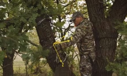 Is the Mathews Triax the Best Bow for the 2018 Bowhunting Season?