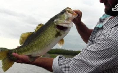 Lake El Salto: Visiting the Latest Must-Fish Destination with Huk