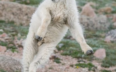 Last Frame Assignment Winner Gene Putney