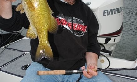 LIVE-BAIT RIGS FOR MORE SUMMER FISH