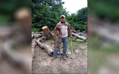 Massive Copperhead Found in Georgia Right Outside the Back Door