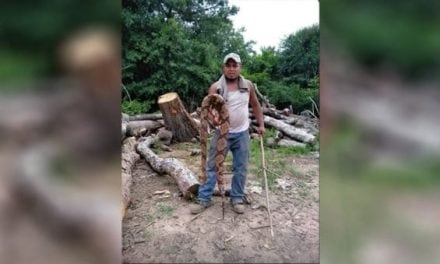 Massive Copperhead Found in Georgia Right Outside the Back Door