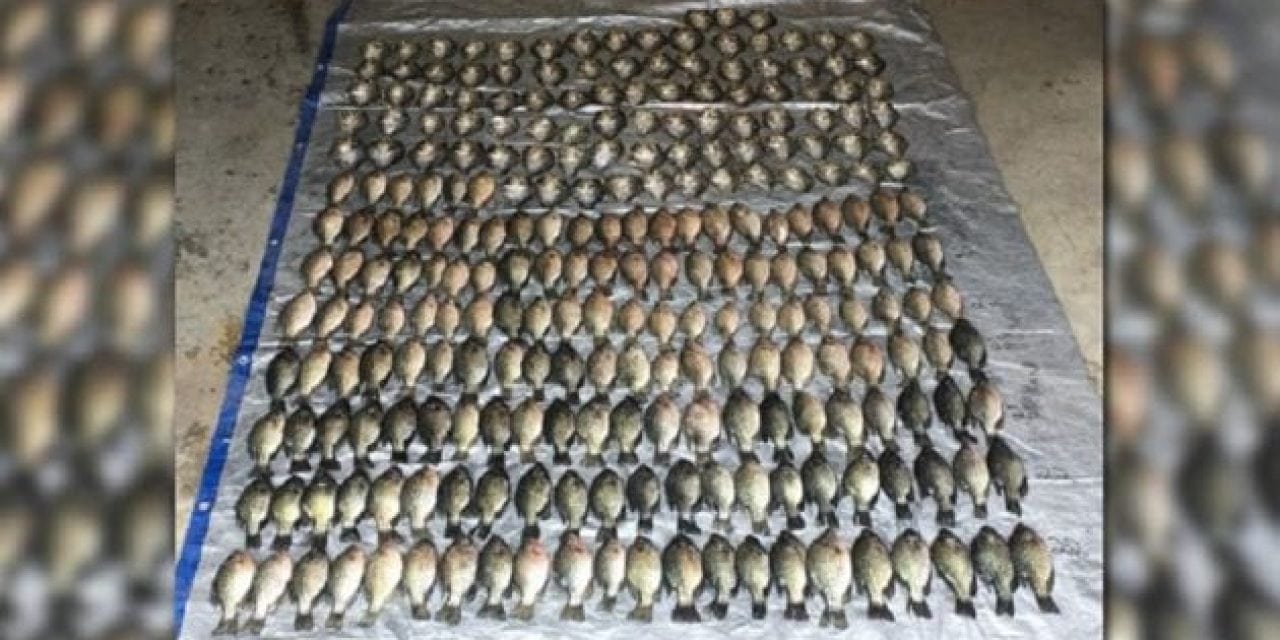 Minnesota Couple Caught With 253 Crappie Over Their Limit