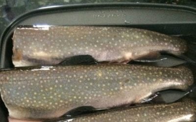 One Easy Appalachian Grilled Trout Recipe for the Dinner Table