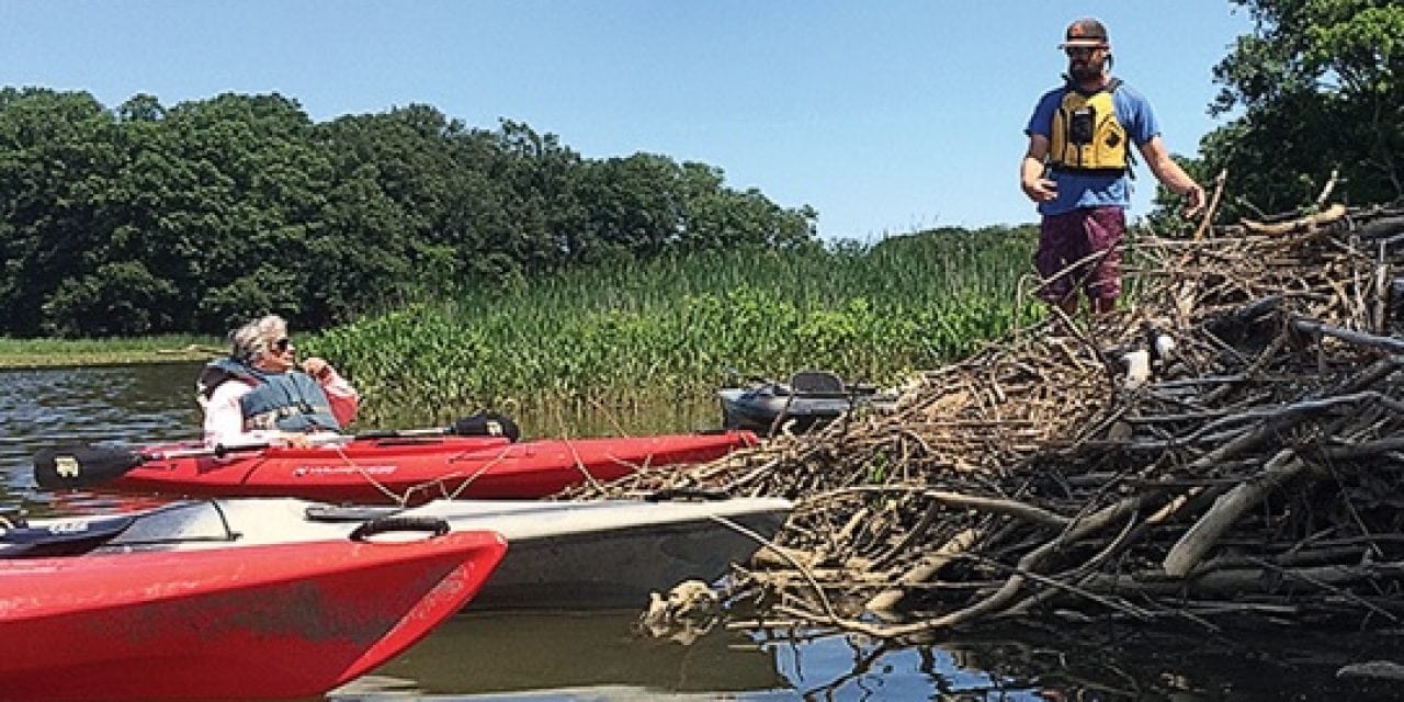 Paddling on the Sassafras River shows off the Bay that was