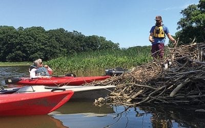 Paddling on the Sassafras River shows off the Bay that was
