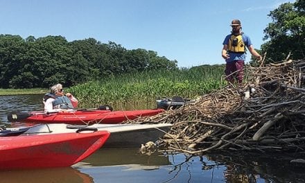 Paddling on the Sassafras River shows off the Bay that was