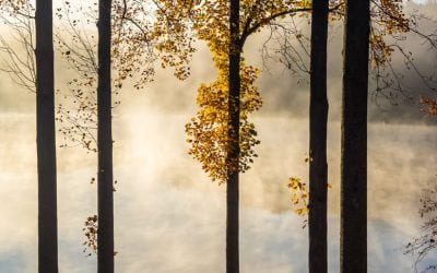 Photo Of The Day By Charlotte Couchman