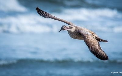 Photo Of The Day By James Day