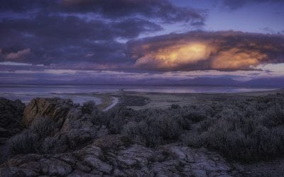 Photo Of The Day By Ron Kusina