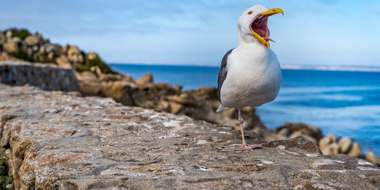 Photo Of The Day By Sarah McIntyre