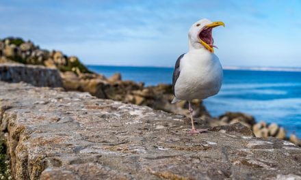 Photo Of The Day By Sarah McIntyre