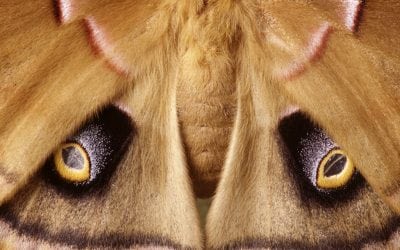 Photograph The Conventional Unconventionally