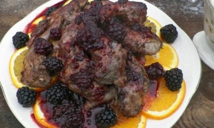 Roast Squirrel with Orange Blackberry Cranberry Sauce