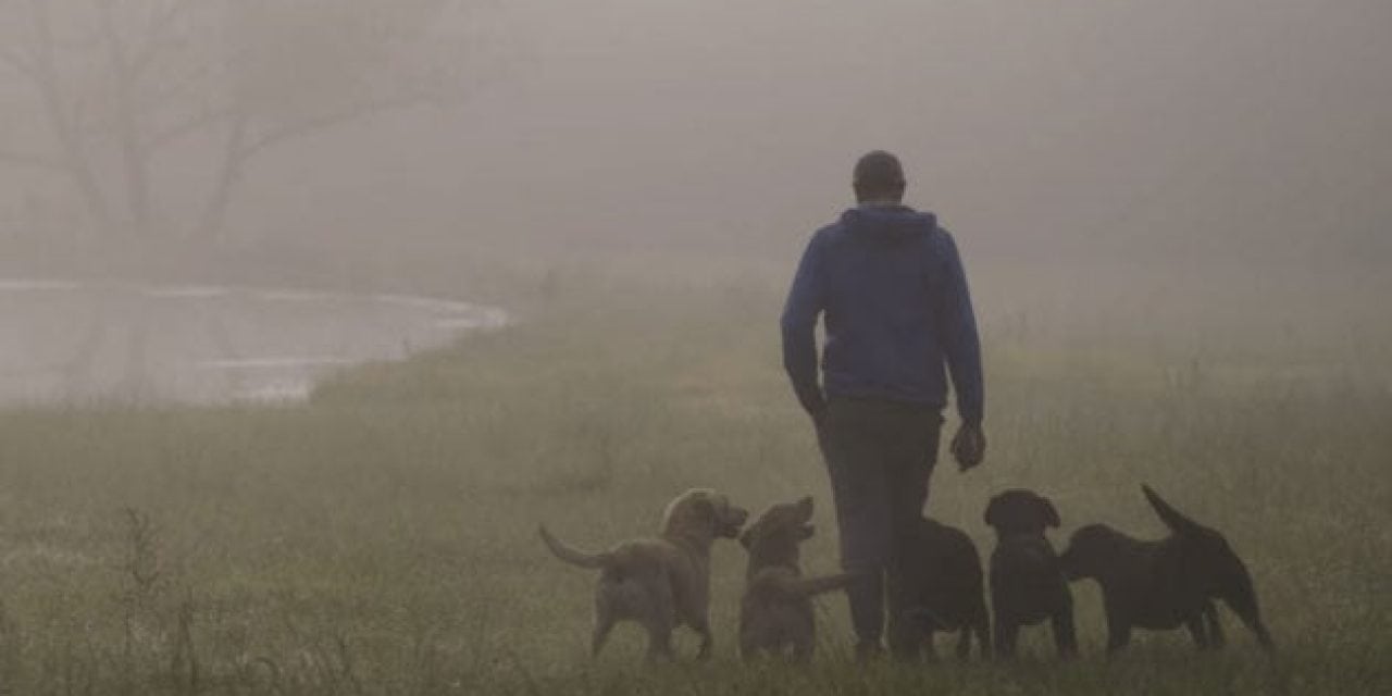 ‘Say When’ by Sitka Films is a Must-See for All Gun Dog Lovers