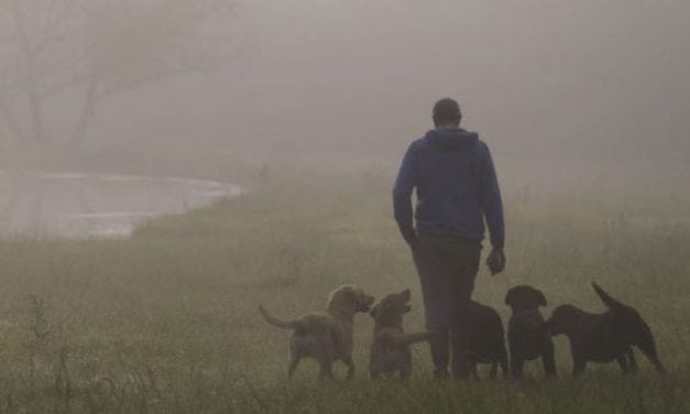 ‘Say When’ by Sitka Films is a Must-See for All Gun Dog Lovers