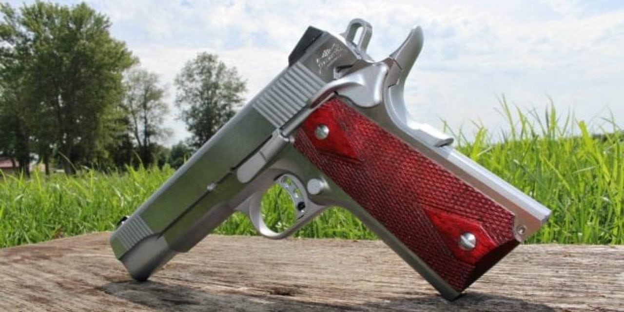 Sheer Beauty: Stainless Steel 1911 From Palmetto State Armory