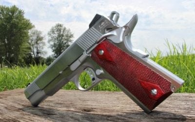 Sheer Beauty: Stainless Steel 1911 From Palmetto State Armory