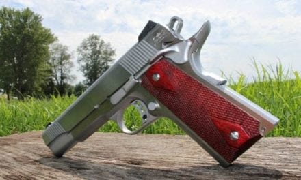 Sheer Beauty: Stainless Steel 1911 From Palmetto State Armory