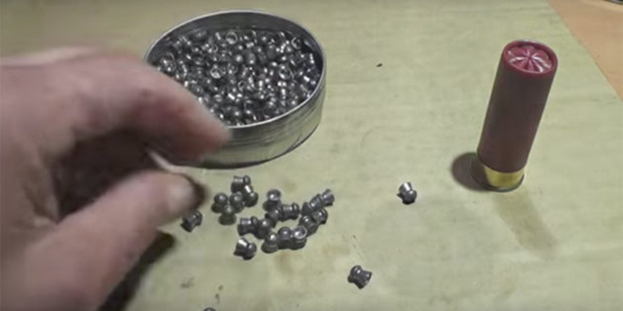 Shooting a Shotgun Shell Full of .22-Caliber Airgun Pellets