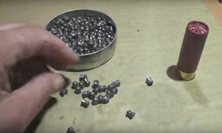 Shooting a Shotgun Shell Full of .22-Caliber Airgun Pellets