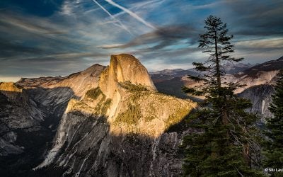 Spotlit Subject Assignment Winner Siu Lau