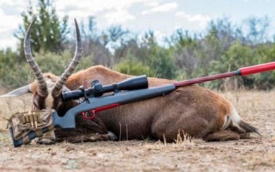 Stealth Precision Firearms Puts Performance First