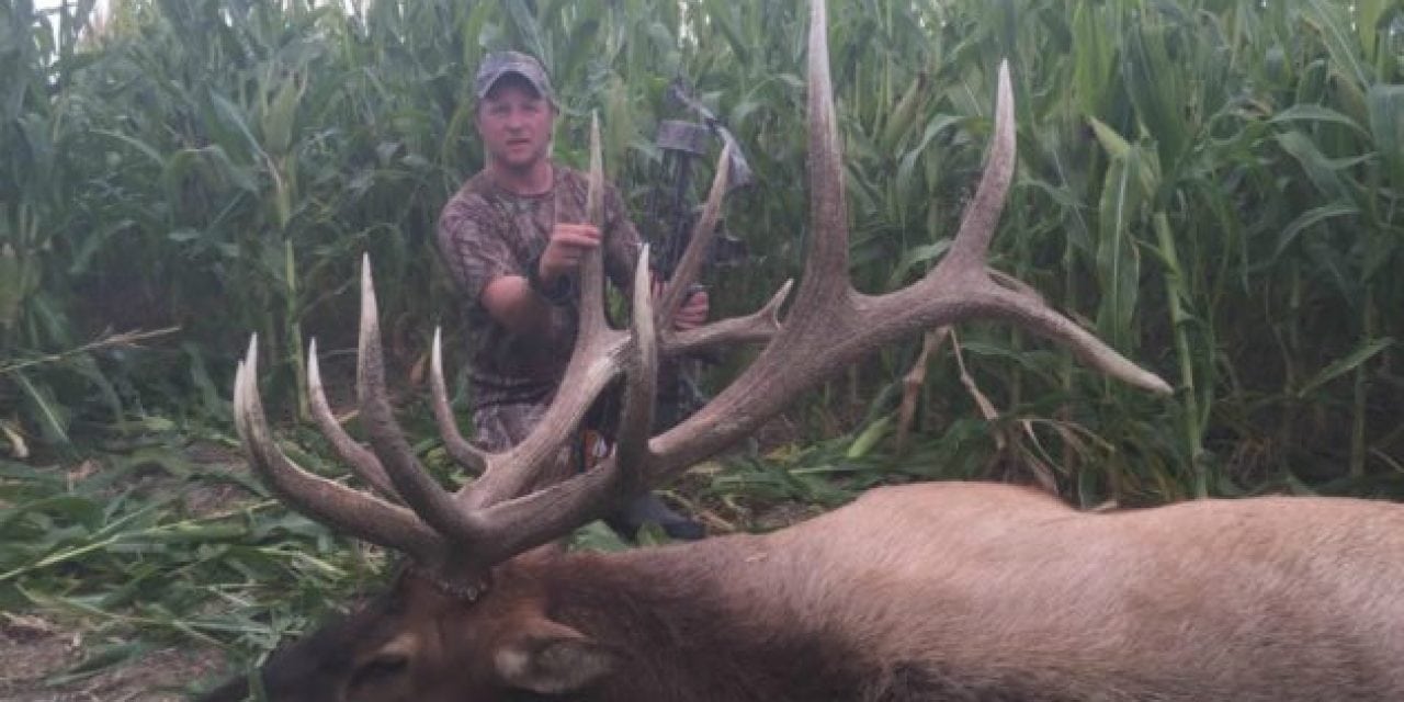 That Time a World-Class Elk was Shot in a Nebraska Corn Field