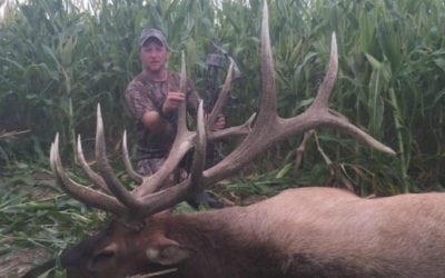 That Time a World-Class Elk was Shot in a Nebraska Corn Field