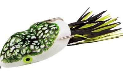 The 5 Best Weedless Lures for Bass Fishing