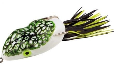 The 5 Best Weedless Lures for Bass Fishing