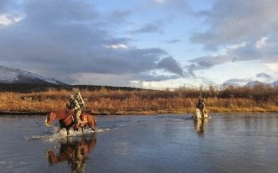 The Big List of Where to Hunt in Canada