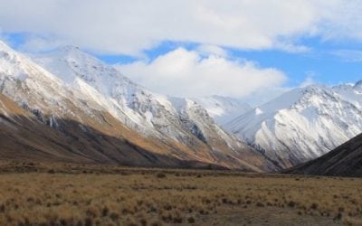 The Big List of Where to Hunt in New Zealand