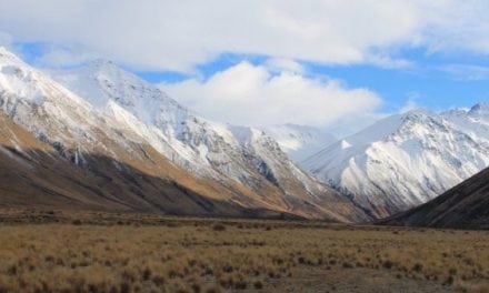 The Big List of Where to Hunt in New Zealand