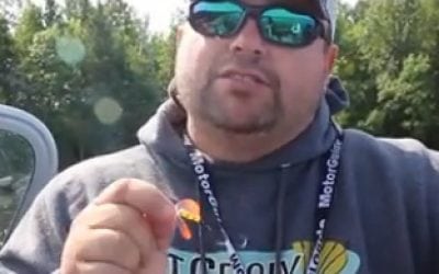 The Most Versatile Spinner System – Butterfly Blade