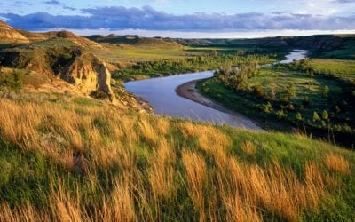 Theodore Roosevelt National Park